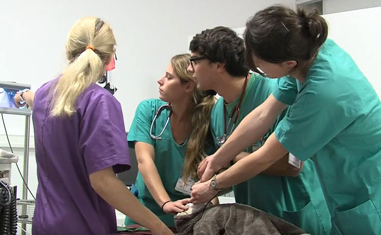 virtual critical care