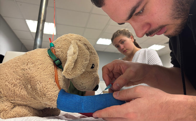 virtual vet simulation